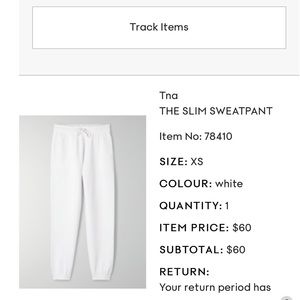 ARITZIA TNA SLIM SWEATS